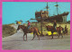 311087 / Bulgaria - Sunny Beach - Horse Riding, Restaurant "A Pirate Frigate" 1976 PC Septemvri Bulgarie Bulgarien - Hoteles & Restaurantes
