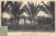 Tunisie - Domaine De L'Oued-Melah - Le Bassin Du Puits Artésien N°1 - Ed. F. Soler  - Tunesien