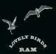 * LP *  RAM - LOVELY BIRDS (Holland 1975 EX) - Rock