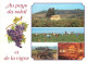 Vignes - Vendanges - Multivues - CPM - Carte Neuve - Voir Scans Recto-Verso - Vines