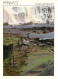 Irlande - Mayo - Aasleagh Falls - Erriff River - CPM - Carte Neuve - Voir Scans Recto-Verso - Mayo