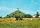 Animaux - Chevaux - Vaches - Belgique Waterloo - Champ De Bataille, La Butte Et Le Lion - Carte Neuve - CPM - Voir Scans - Chevaux