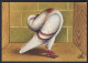 Bird - Rooster Hen Chicken - Johan Lentink Artist - 4x6 Inch Postcard - Vogels