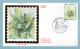 FDC Monaco 1987 - Faune - Insectes Du Parc National Du Mercantour - Grande Sauterelle Verte - YT 1572 - FDC