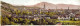 Allemagne - Panorama De Freiburg - Colorisé - Carte Double - Carte Postale Ancienne - Freiburg I. Br.