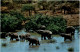 Kenia - Elephants - Kenia