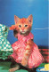 FANTAISIES - Un Chat Dans Une Robe - Colorisé - Carte Postale Ancienne - Geklede Dieren