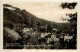 Waltershausen, Blick Auf Die Gaststätte Bellevue, Schloss Tanneberg - Waltershausen