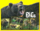 BELGIUM 2020 Nature THE BIG 5 OF EUROPE New Sheet - Orso Lince Lupo Bufalo - 2011-2020