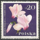 POLOGNE  Du N° 1394 Au  N° 1405 NEUF - Nuovi