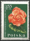 Delcampe - POLOGNE  Du N° 1394 Au  N° 1405 NEUF - Ungebraucht