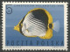 POLOGNE  Du  N° 1598 Au N° 1606 NEUF - Nuevos