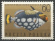 Delcampe - POLOGNE  Du  N° 1598 Au N° 1606 NEUF - Ongebruikt