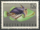 Delcampe - POLOGNE  Du  N° 1598 Au N° 1606 NEUF - Nuevos