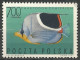 Delcampe - POLOGNE  Du  N° 1598 Au N° 1606 NEUF - Neufs