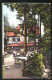 AK Wernigerode, Wasserfall, Gasthaus Steinerne Renne  - Wernigerode