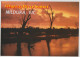 Australia VICTORIA VIC Murray River Sunset MILDURA Rose No.2016 Postcard C1980s - Mildura