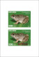 GUINEA BISSAU 2024 SET OF 6 DELUXE PROOF - REG & OVERPRINT - MUSHROOMS OWLS FROG FROGS TURTLE TURTLES HIPPOPOTAMUS - Ranas