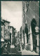 Treviso Calmaggiore PIEGHINA Foto FG Cartolina ZKM7162 - Treviso