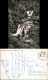 Ansichtskarte Oppenau Allerheiligen-Wasserfälle 1961 - Oppenau