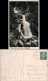 Ansichtskarte Triberg Im Schwarzwald Kaskaden-Wasserfall 1936 - Triberg