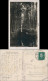 Ansichtskarte Lübbenau (Spreewald) Lubnjow Kahnpartie - Fotokarte 1929  - Lübbenau