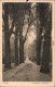 Ansichtskarte Zittau Eichenallee In Der Weinau 1922  - Zittau