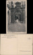 Ansichtskarte Zittau Portal Am Museum - Straße 1925  - Zittau