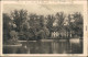 Ansichtskarte Zittau Weinau - Gastwirtschaft 1928  - Zittau