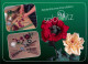 Ansichtskarte Sebnitz Seidenblumenmanufaktur 1995 - Sebnitz