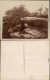 Ansichtskarte Rathen Mann Auf Felsen - Privatfoto AK 1929  - Rathen