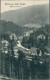 Ansichtskarte Bärenburg-Altenberg (Erzgebirge) Blick Auf Den Ort 1925 - Altenberg