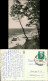 Ansichtskarte Kölpinsee (Usedom)-Loddin Strand 1962 - Other & Unclassified