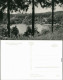 Ansichtskarte Buckow (Märkische Schweiz) Schermützelsee 1965 - Buckow