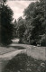 Ansichtskarte Badenweiler Im Kurpark 1960 - Badenweiler