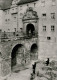 Ansichtskarte Torgau Bärenfreigehege Im Schloss Hartenfels 1978 - Torgau