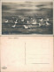 Ansichtskarte Ahlbeck (Usedom) Möwen Am Meeresstrande 1929  - Other & Unclassified