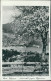 Ansichtskarte Bad Wiessee Abwinkel Gegen Tegernsee 1932  - Bad Wiessee