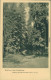 Ansichtskarte Einsiedel-Seiffen (Erzgebirge) Fußweg Nach... Erzgebirge 1926  - Seiffen