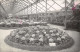 TH-EXPOSITION HORTICULTURE-N 6010-A/0249 - Cultivation