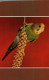 G2971 - TOP  Wellensittich - Planet Verlag DDR - Birds