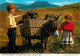 Irlande - Galway - Connemara - Collectif Turf From The Bog - Anes - Enfants - Carte Neuve - CPM - Voir Scans Recto-Verso - Galway