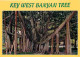 Etats Unis - Key West - The Giant Banyon Tree In Tropical Key West - Arbre Remarquable - Carte Neuve - CPM - Voir Scans  - Key West & The Keys