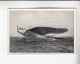 Mit Trumpf Durch Alle Welt Flugzeuge Rumpler Taube    A Serie 5 #2 Von 1933 - Autres Marques