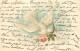 ILLUSTRATION  THEME OISEAUX - COLOMBE - Birds