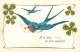 ILLUSTRATION  THEME OISEAUX  - Birds