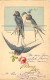 ILLUSTRATION  THEME OISEAUX  - Birds