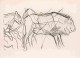 24 - Les Eyzies - Grotte Des Combarelles - Lion Et Cheval - Art Préhistorique - Mention Photographie Véritable - CPSM Gr - Les Eyzies