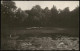 Ansichtskarte  Freizeit / Erholung - Parkanlagen/Stadtpark Seerosen 1913 - Sin Clasificación