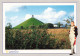 BELGIQUE - Waterloo - Vue Sur Une Maison - Vue D'ensemble - Homme - Carte Postale Ancienne - Waterloo